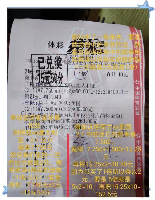 揭秘世界杯竞猜技巧，轻松赢取高额奖金秘籍