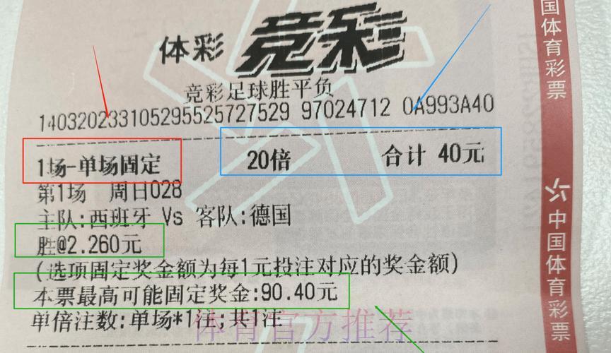 世界杯彩票投注正确技巧全攻略